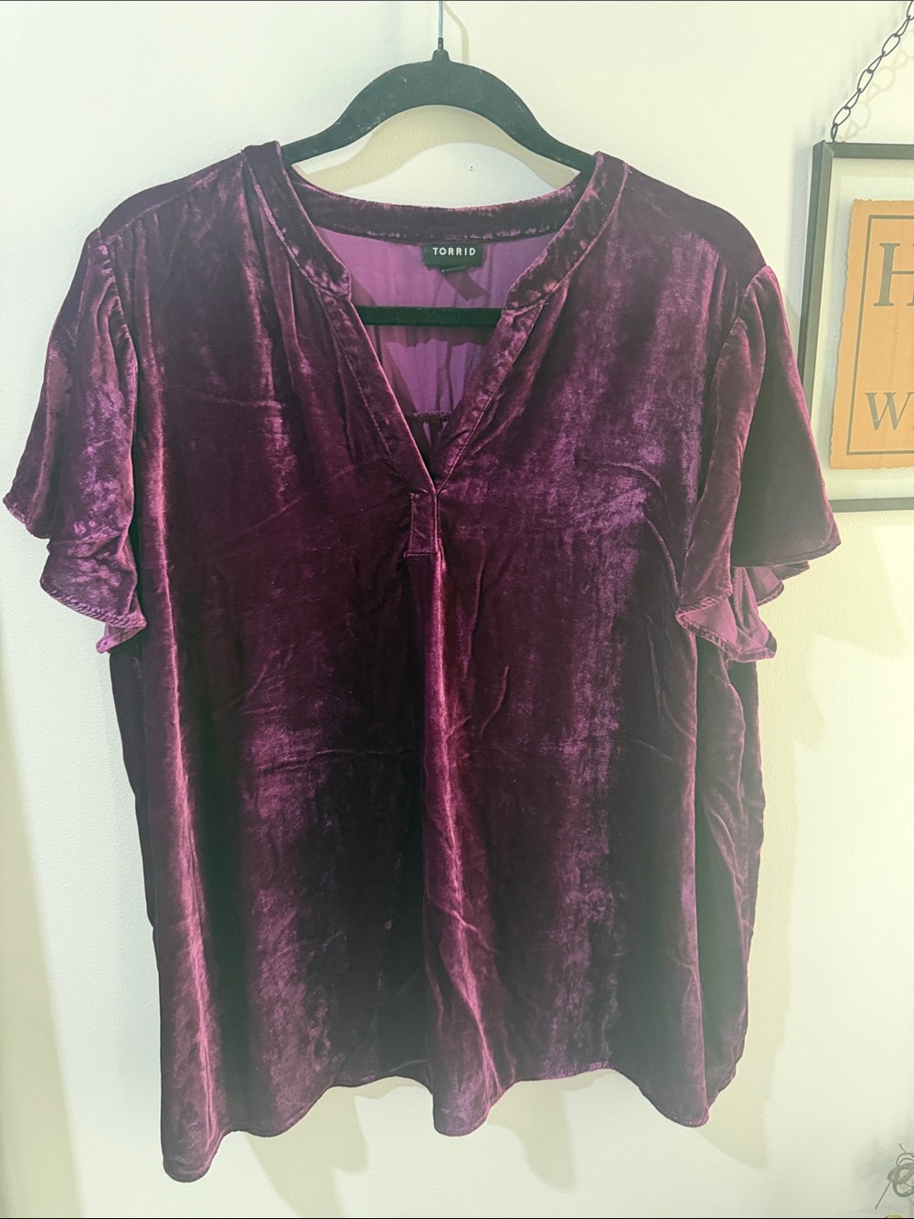 torrid Plum Velvet V-Neck Flutter Sleeve Blouse